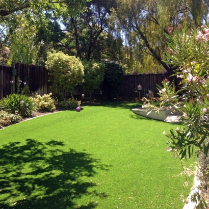 Grass Turf Midway City, California Landscaping, Backyard Designs