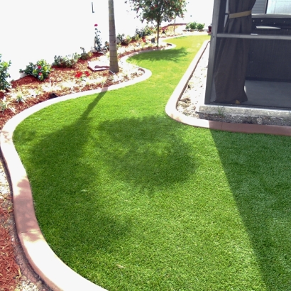 Synthetic Grass Seal Beach, California Home And Garden, Backyard