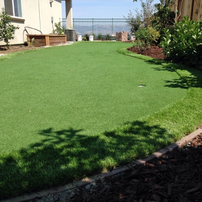 Synthetic Turf Buena Park, California Gardeners, Backyard Landscaping