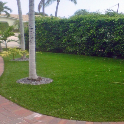 Synthetic Turf San Juan Capistrano, California City Landscape, Front Yard Landscaping