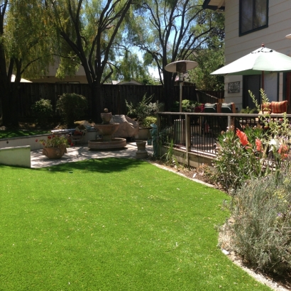 Synthetic Turf Yorba Linda, California Landscape Ideas, Backyard