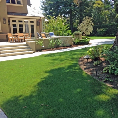 Turf Grass San Joaquin Hills, California Design Ideas, Backyard Makeover