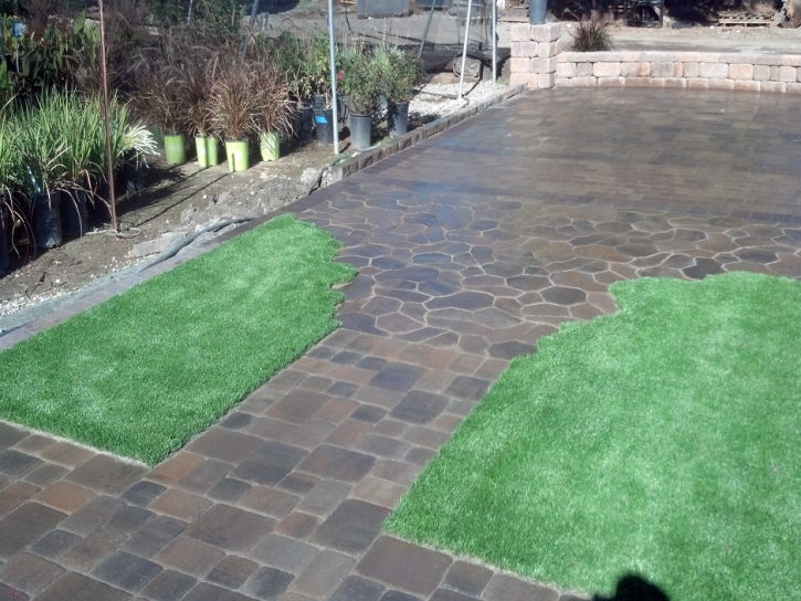 Artificial Grass Aliso Viejo, California Lawn And Garden, Small Backyard Ideas