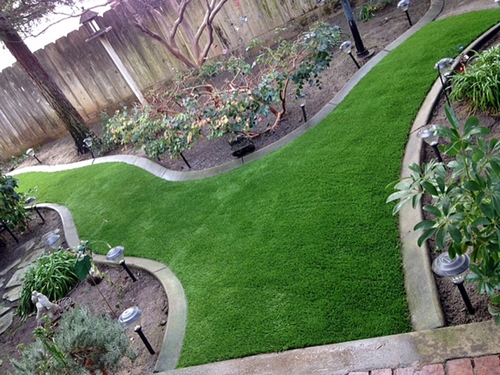 Artificial Grass Anaheim, California Gardeners, Backyards