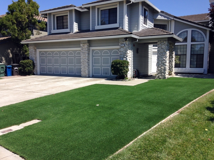 Artificial Grass Carpet Foothill Ranch, California Gardeners, Front Yard Landscaping