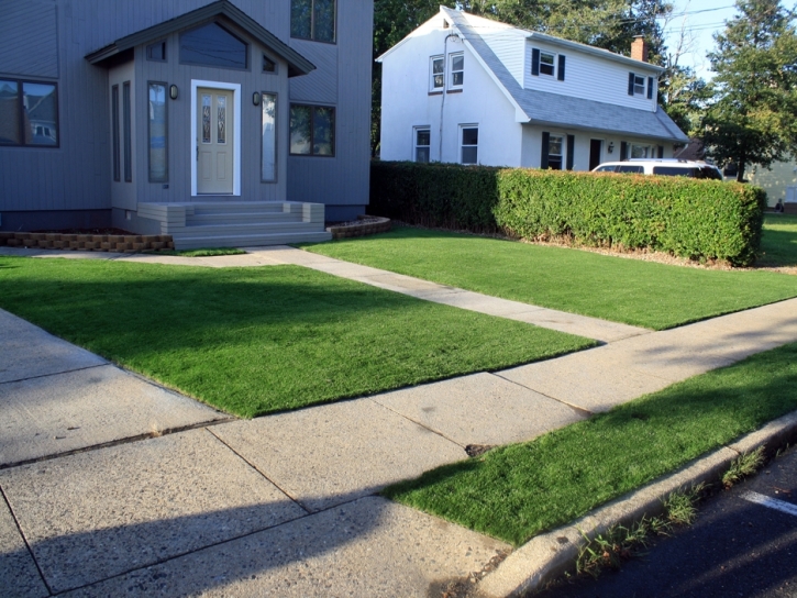 Artificial Grass Carpet La Palma, California City Landscape, Landscaping Ideas For Front Yard