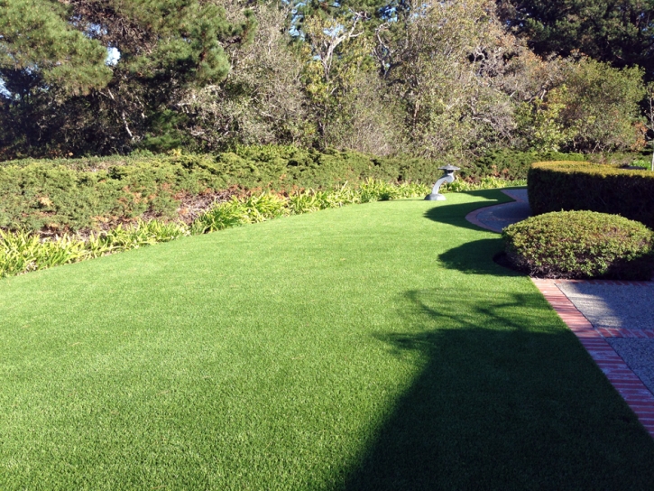 Artificial Grass Carpet Laguna Niguel, California Rooftop, Landscaping Ideas For Front Yard