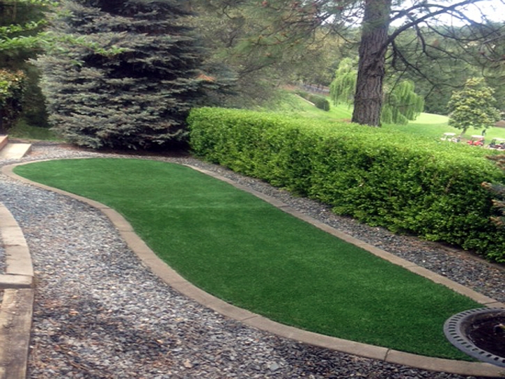 Artificial Grass Carpet Rancho Santa Margarita, California Roof Top