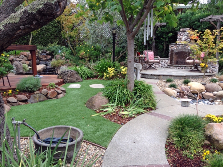 Artificial Grass Carpet Stanton, California Landscape Photos, Backyard Ideas