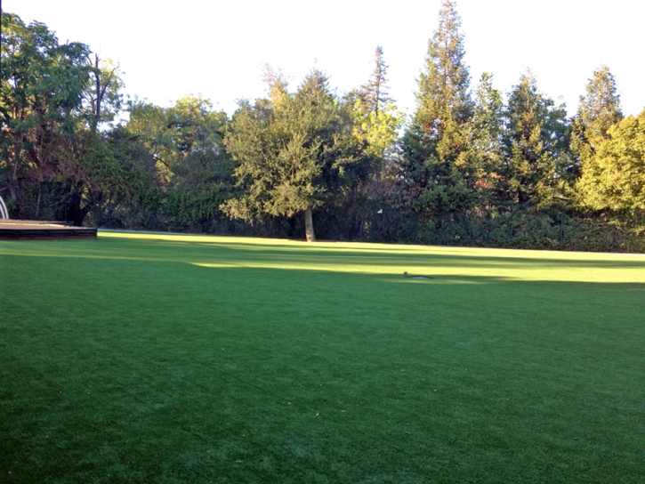 Artificial Grass Carpet Trabuco Canyon, California Landscaping, Parks