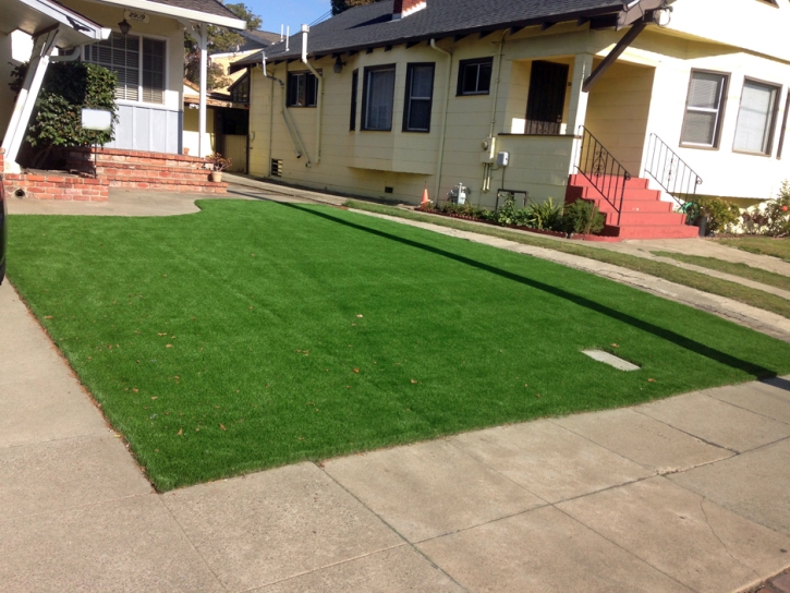 Artificial Grass Installation Dana Point, California Lawn And Landscape, Front Yard Ideas