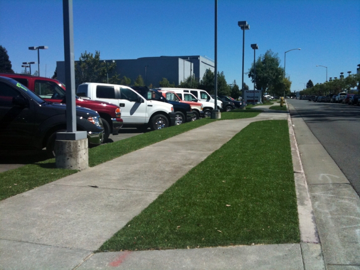 Artificial Grass Installation La Palma, California Landscape Rock, Commercial Landscape