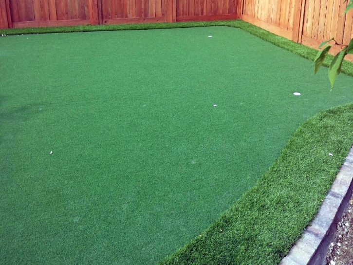 Artificial Grass Installation Laguna Beach, California Landscaping, Backyard Landscaping Ideas