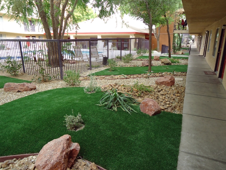 Artificial Grass San Clemente, California Landscape Photos, Commercial Landscape