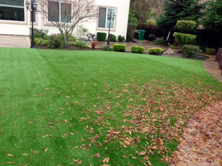 Artificial Grass San Juan Capistrano, California Landscape Ideas, Backyard Landscape Ideas