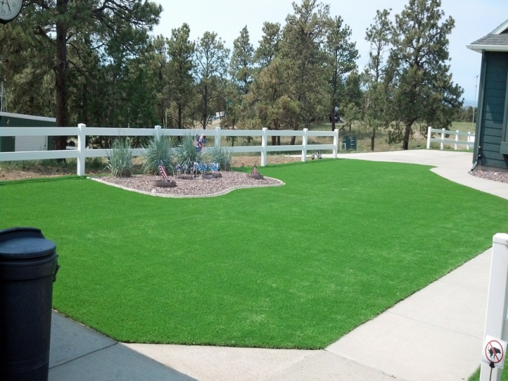 Artificial Lawn Huntington Beach, California Landscaping Business, Front Yard Landscaping