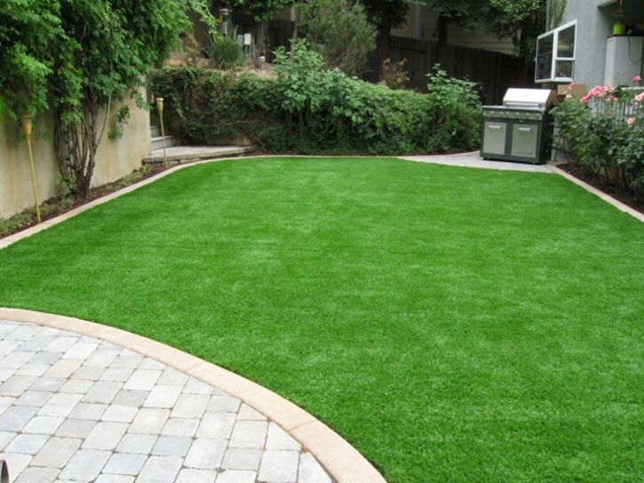 Artificial Lawn La Palma, California Design Ideas