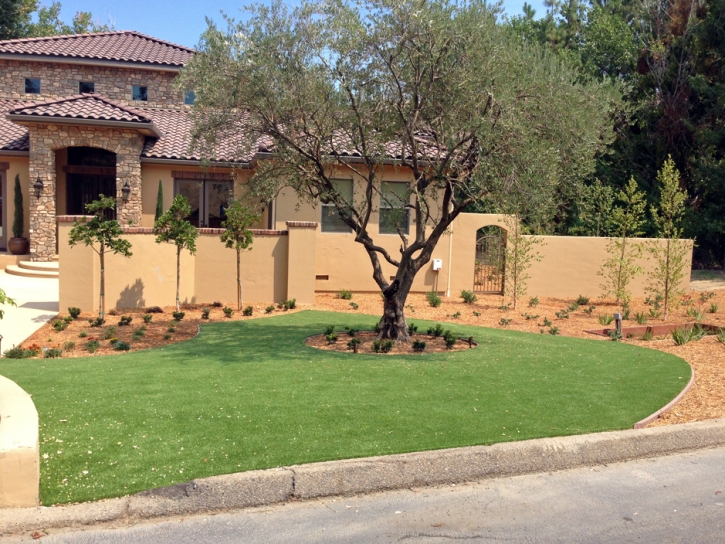 Artificial Lawn Laguna Woods, California Rooftop, Front Yard Landscaping