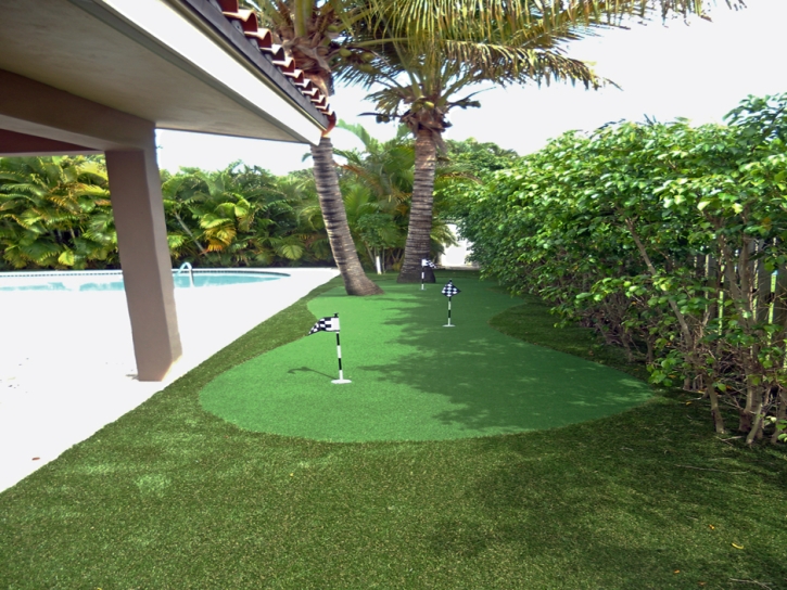 Artificial Lawn Portola Hills, California Backyard Putting Green, Backyard Ideas