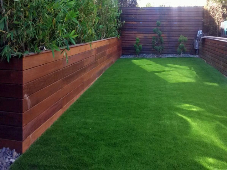 Artificial Lawn Rossmoor, California Landscaping Business, Backyard Landscape Ideas