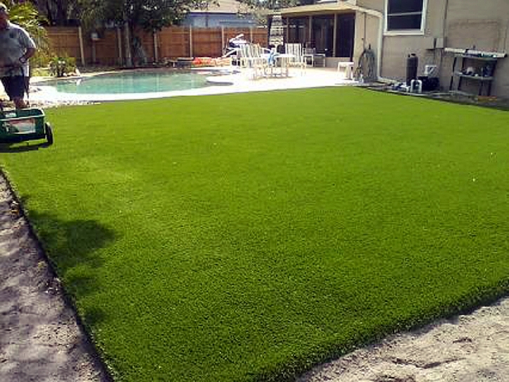 Artificial Turf Brea, California Landscaping, Kids Swimming Pools