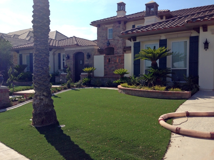 Artificial Turf Cost Aliso Viejo, California Design Ideas, Small Front Yard Landscaping