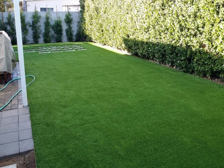 Artificial Turf Cost Irvine, California Pet Turf, Backyard Garden Ideas