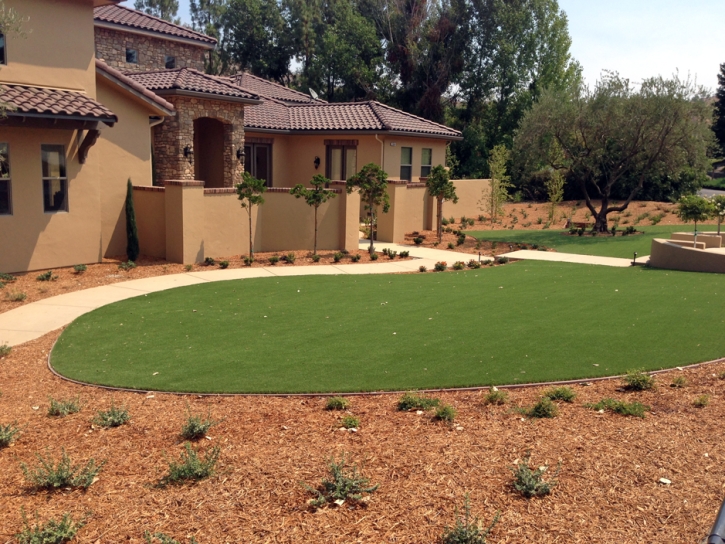 Artificial Turf Cost La Palma, California Garden Ideas, Front Yard Landscape Ideas