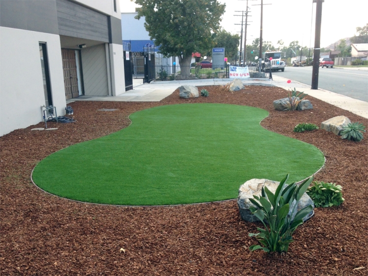 Artificial Turf Cost Lake Forest, California Home And Garden, Commercial Landscape