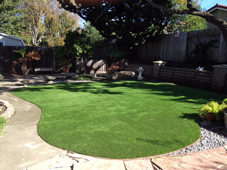 Artificial Turf Cost North Tustin, California Backyard Playground, Backyard Designs