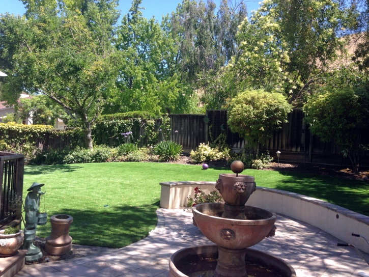 Artificial Turf Cost San Clemente, California Lawn And Garden, Backyard Ideas