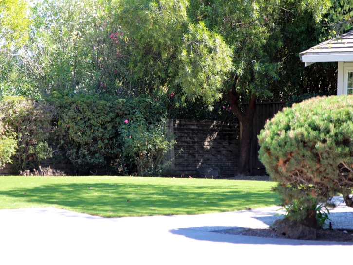 Artificial Turf Installation Laguna Hills, California Dog Run, Front Yard Design