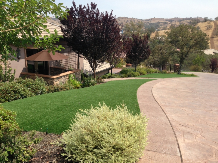 Artificial Turf Installation Placentia, California Backyard Deck Ideas, Landscaping Ideas For Front Yard