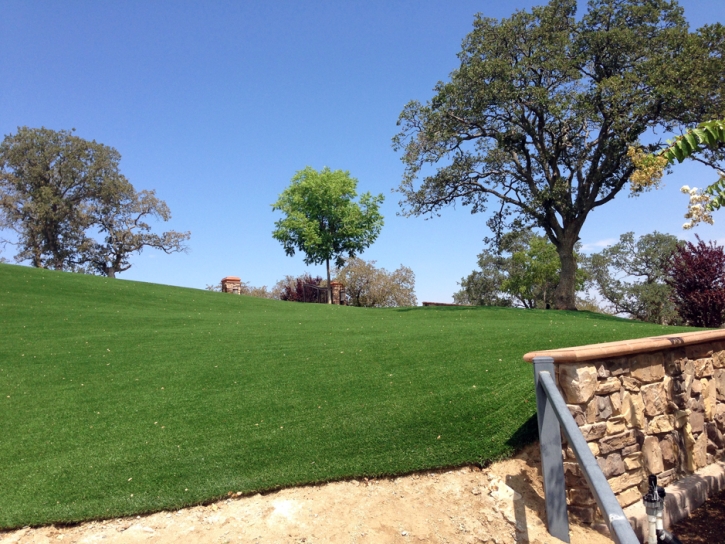 Artificial Turf Ladera Ranch, California Backyard Playground, Front Yard Design