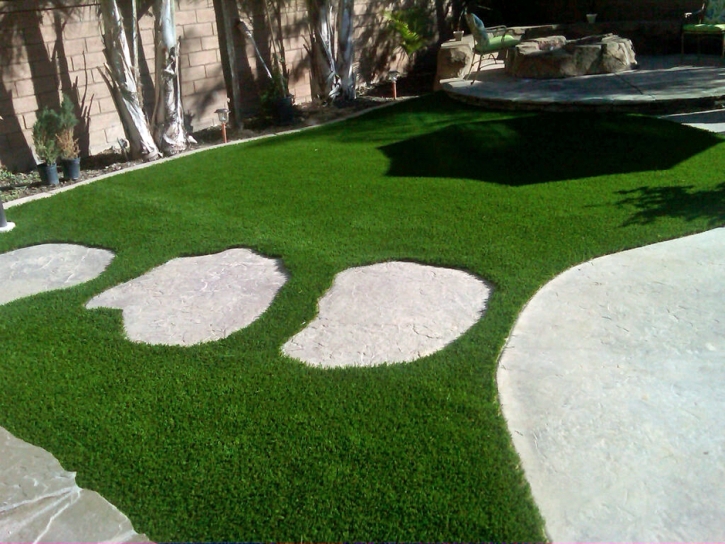 Artificial Turf Laguna Woods, California Landscaping Business, Backyard Landscaping