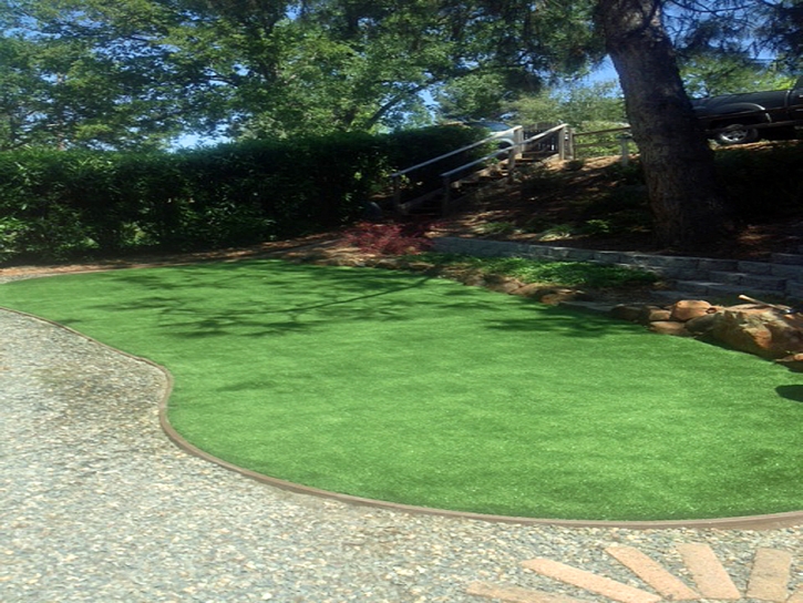 Artificial Turf Seal Beach, California Design Ideas, Backyard Makeover