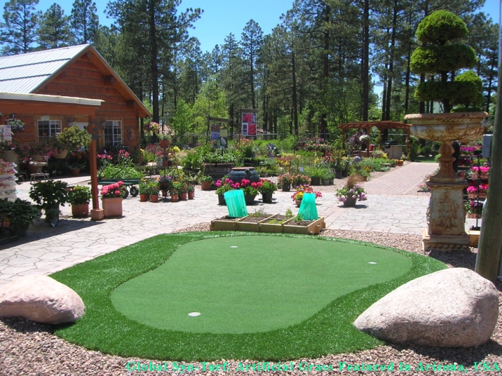 Artificial Turf Villa Park, California Diy Putting Green, Backyard Landscaping Ideas