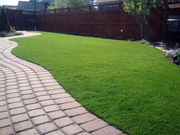 Best Artificial Grass Laguna Beach, California Lawns, Backyard Makeover