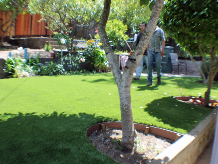 Best Artificial Grass Laguna Hills, California Lawns, Backyard Landscape Ideas