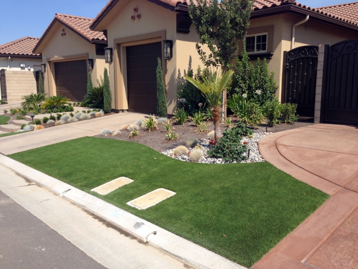 Best Artificial Grass Placentia, California Landscape Photos, Front Yard Ideas