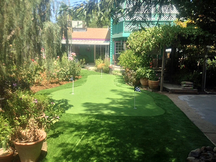 Fake Grass Carpet Costa Mesa, California Design Ideas