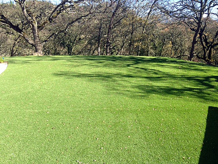 Fake Grass Carpet Dana Point, California Lawn And Landscape, Recreational Areas