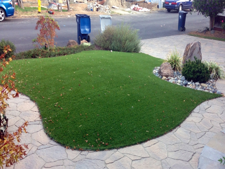 Fake Grass Carpet Rossmoor, California Landscape Photos