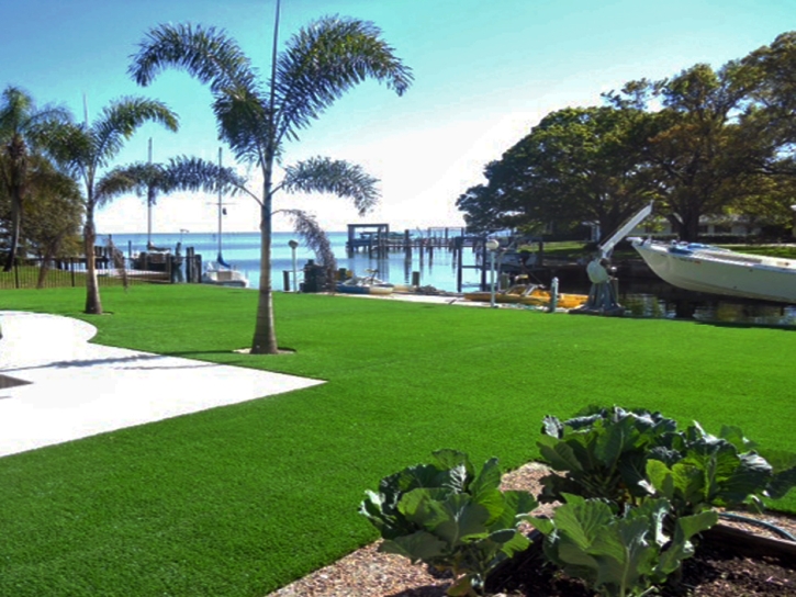 Fake Grass Dana Point, California Paver Patio, Kids Swimming Pools