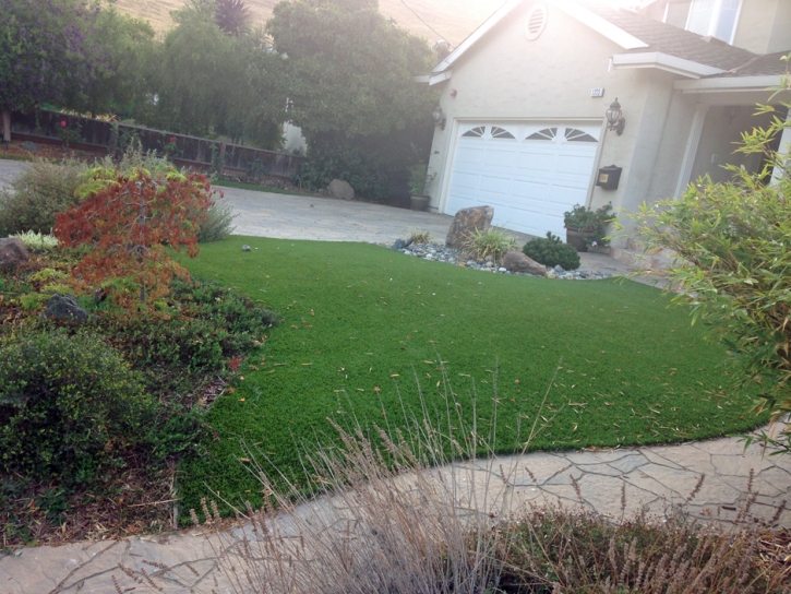 Fake Grass Fullerton, California Rooftop, Landscaping Ideas For Front Yard