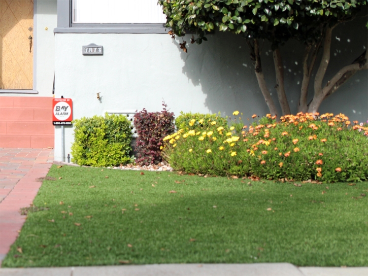 Fake Grass La Habra, California Lawns, Front Yard