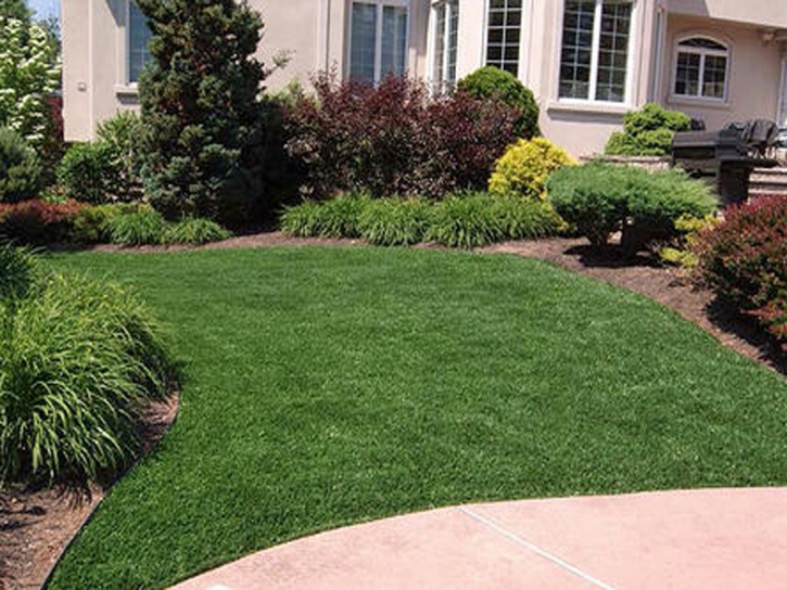 Fake Grass Laguna Hills, California Landscape Ideas, Front Yard Landscaping