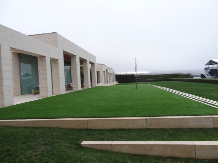 Fake Grass San Joaquin Hills, California Landscaping, Commercial Landscape