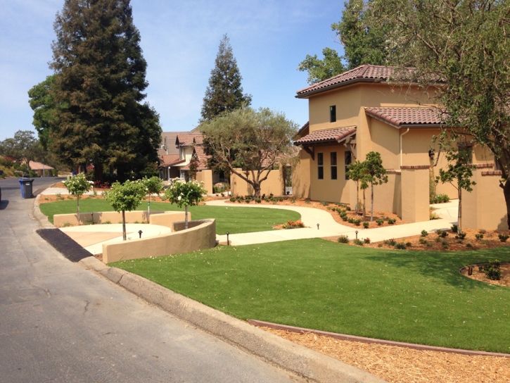 Fake Lawn San Clemente, California Lawn And Garden, Front Yard Landscaping