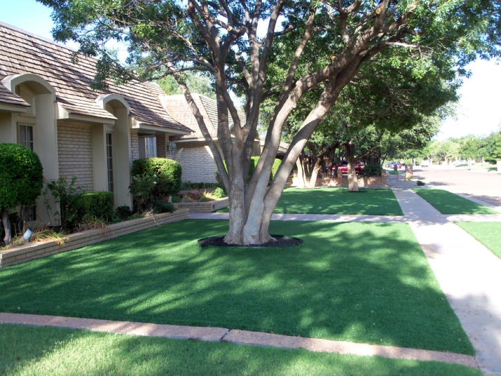 Fake Lawn San Clemente, California Roof Top, Front Yard Landscape Ideas